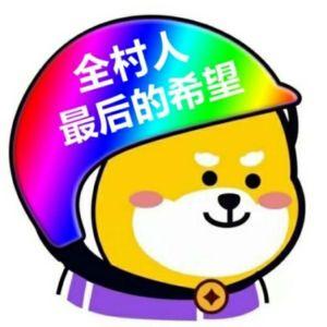 全村希望最火的头像截图