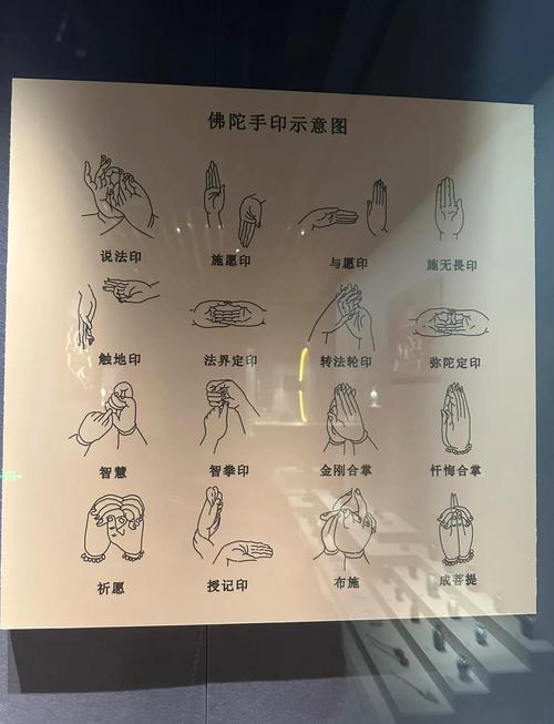 鉴宝圣手全集完整版