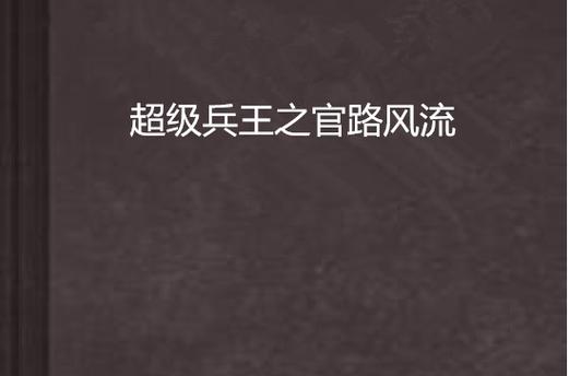 超级兵王风流官路全文阅读