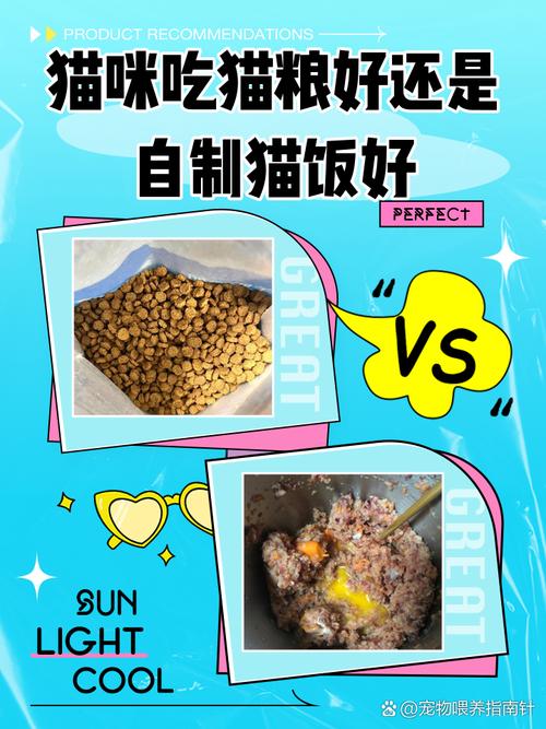 猫吃猫粮好还是猫饭好游戏截图