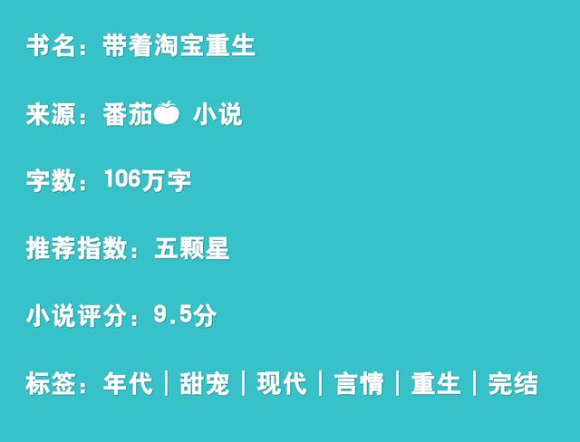 带着淘宝穿越年代文