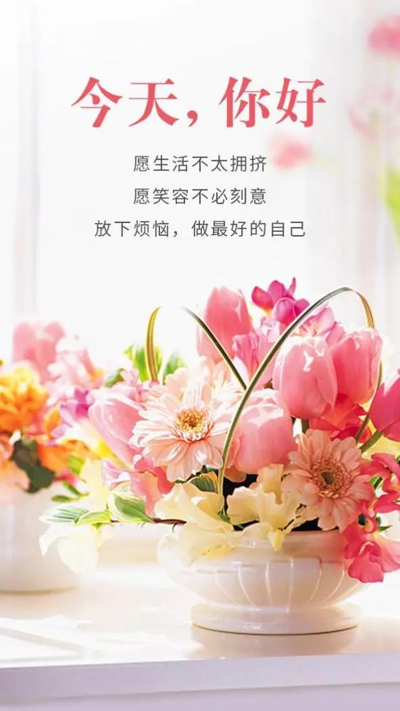 积极向上正能量的视频