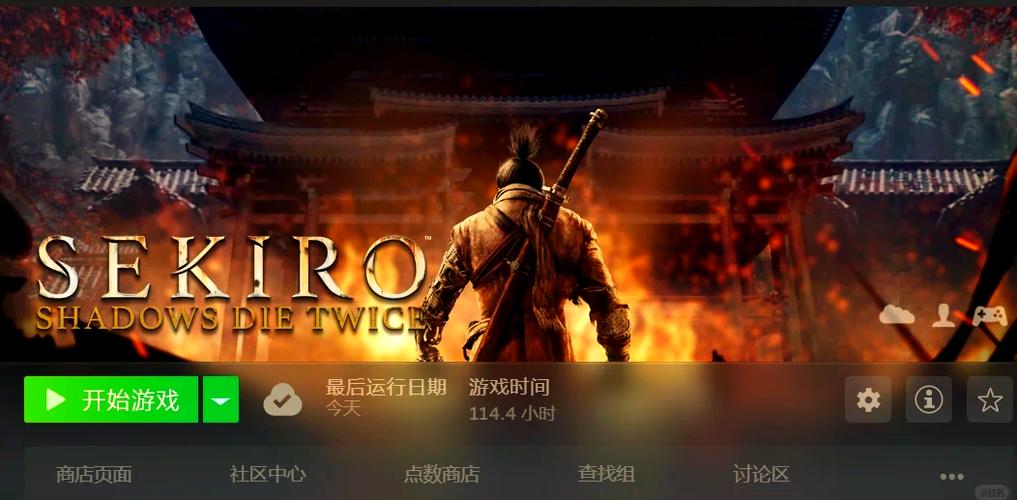 只狼进游戏的选项游戏截图