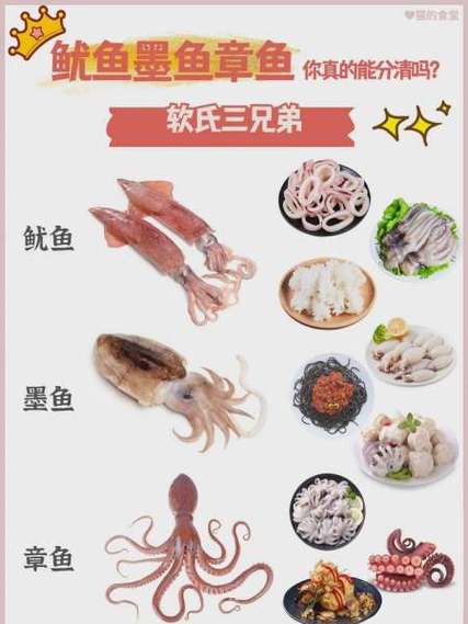 鱿鱼和墨鱼图片缩略图