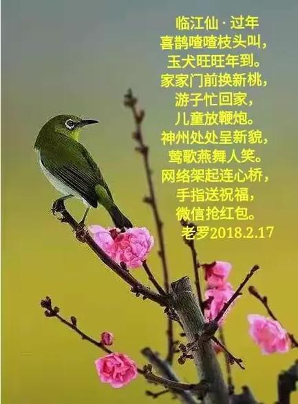 关于抢红包的诗词