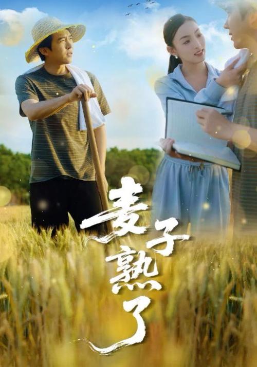麦子 电影