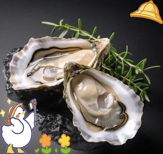 生蚝能壮阳是真的吗截图
