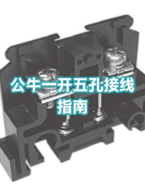 新公牛5孔接线图视频
