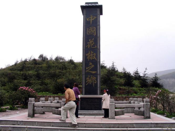 什么叫萝卜岗