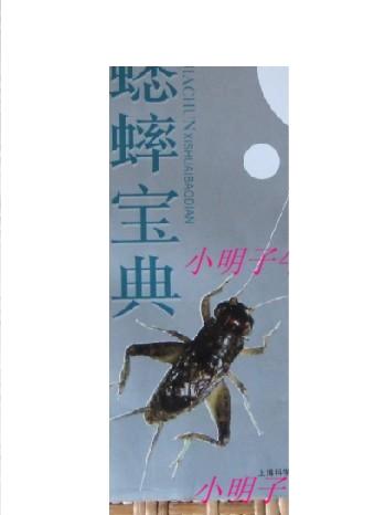 大量收购蟋蟀的工厂名单截图