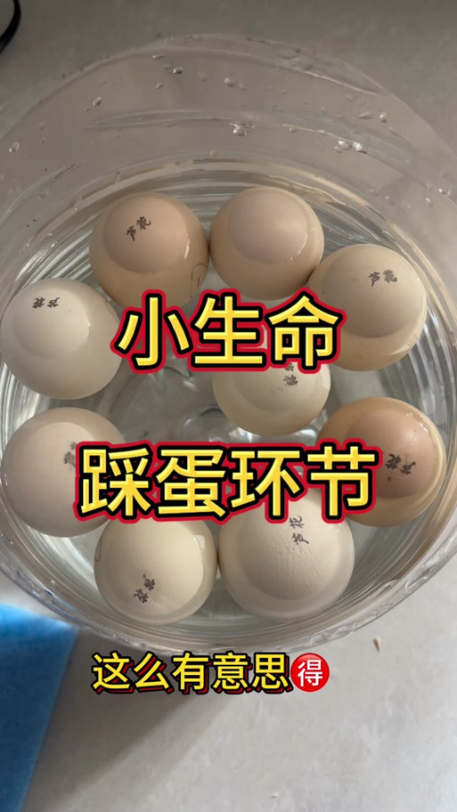 鸡踩蛋是什么意思
