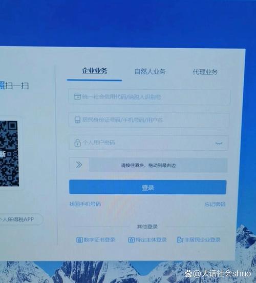 上海税务网上办税平台