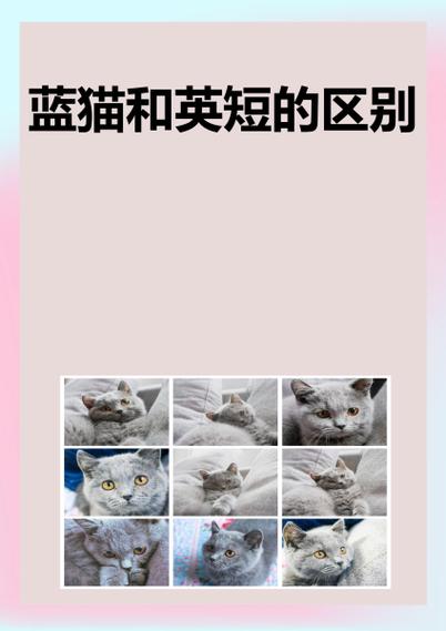 蓝猫性格截图