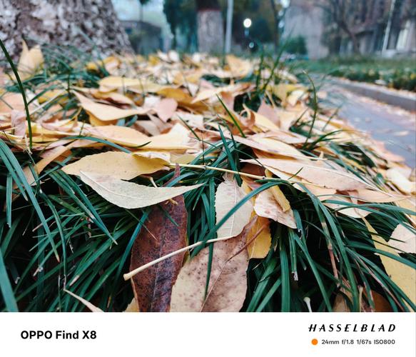 oppo拍照要一秒后才拍