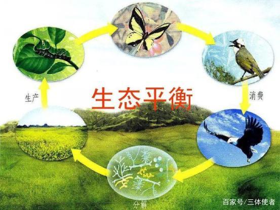 大自然生态链