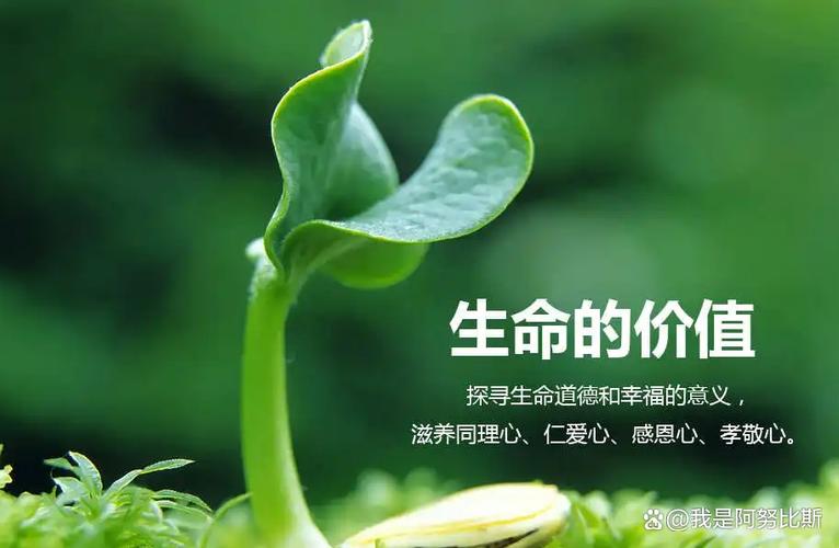 我用寿命兑换万物截图