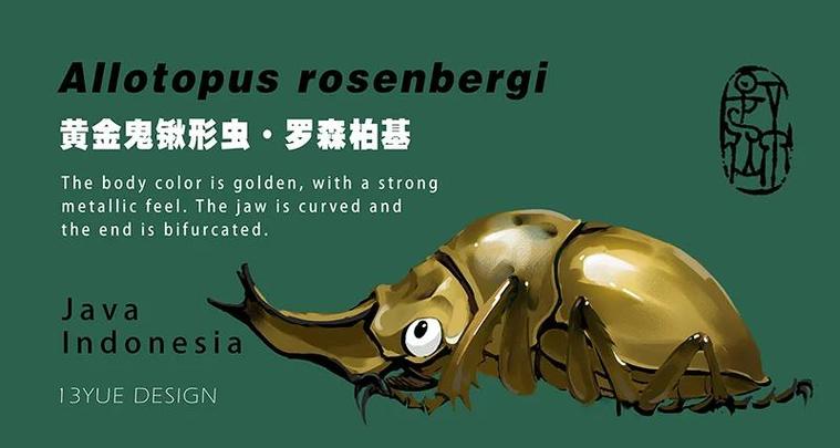 甲虫的神奇之处