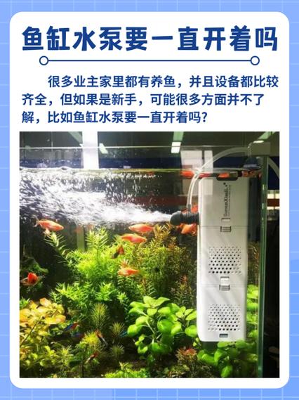 鱼缸循环泵需要一直开吗