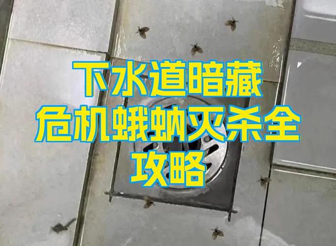卫生间蛾蚋如何根除