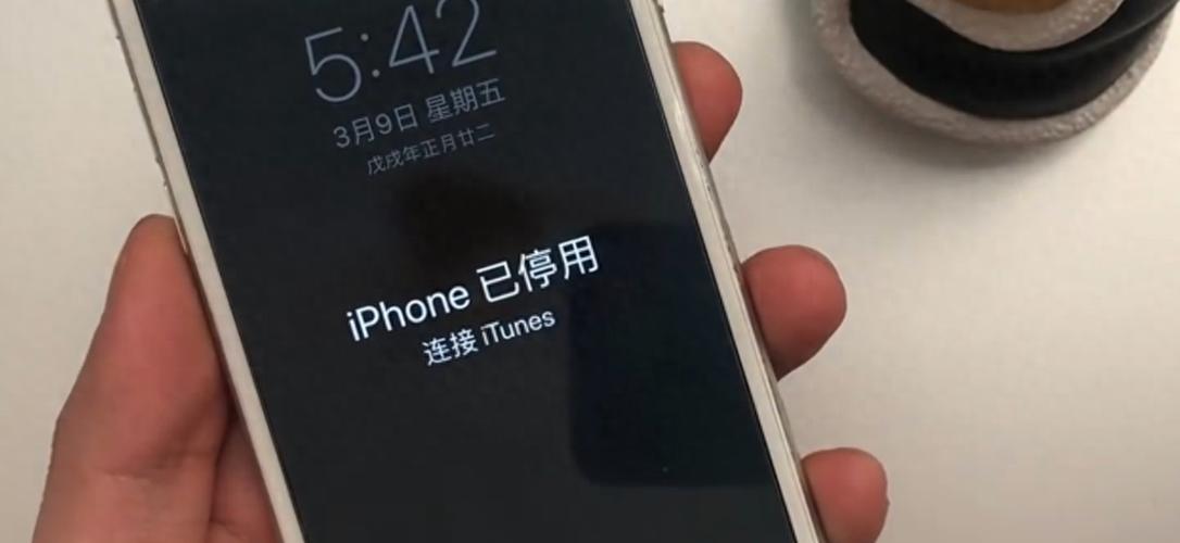 苹果手机输入10次密码错