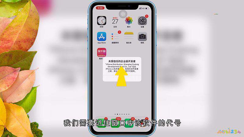 苹果怎么点信任app