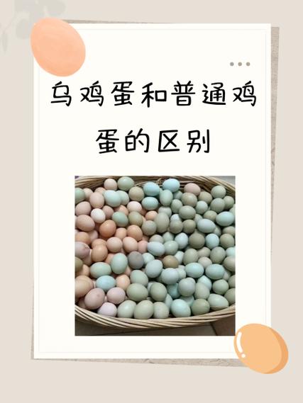 褐色鸡蛋的获取方法截图