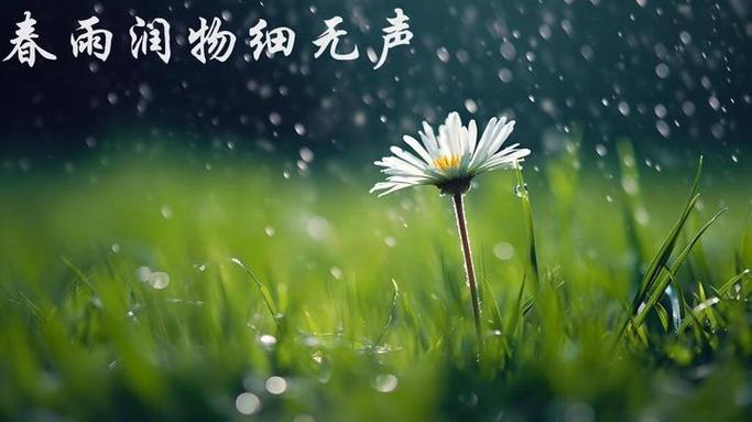 wallpaper手机版没声音