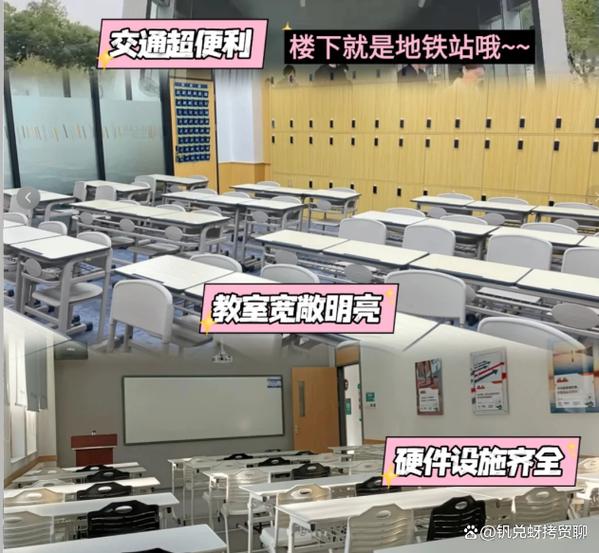 升本上岸率最高的机构截图