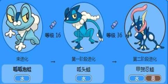 呱呱泡蛙怎么进化为小智甲贺忍蛙