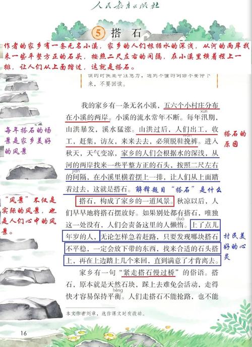 白菜石阅读答案