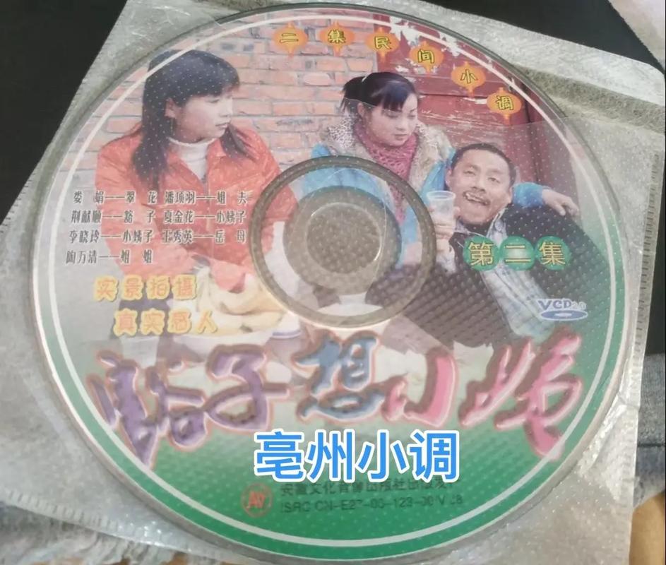 免费下载民间小调在哪个软件下截图