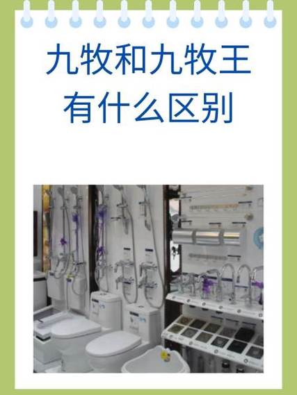 九牧和九牧王哪个是一线品牌截图
