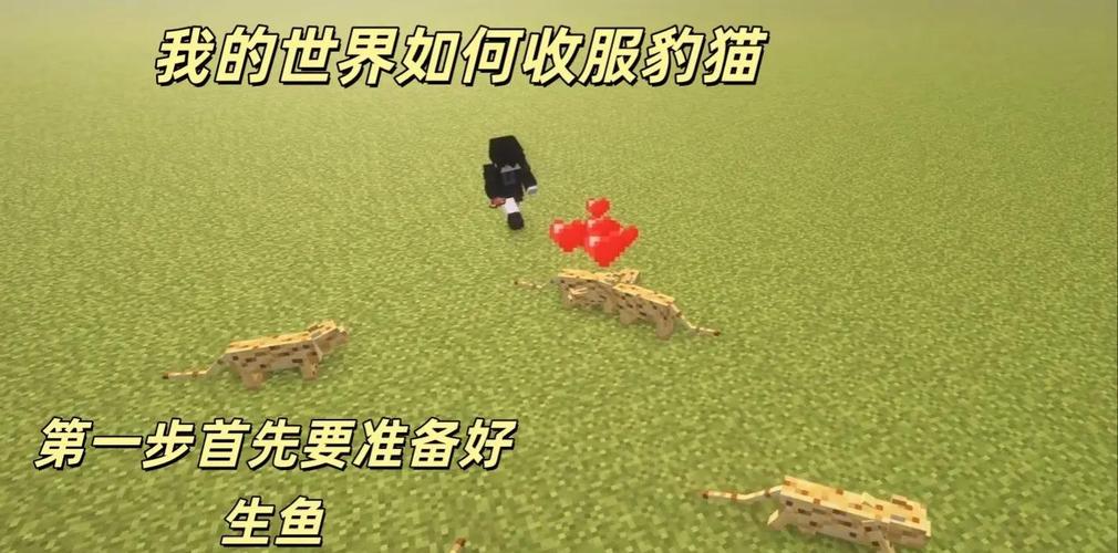 我的世界驯服豹猫的方法截图