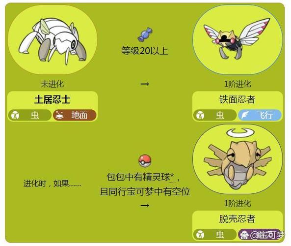 土居忍士进化