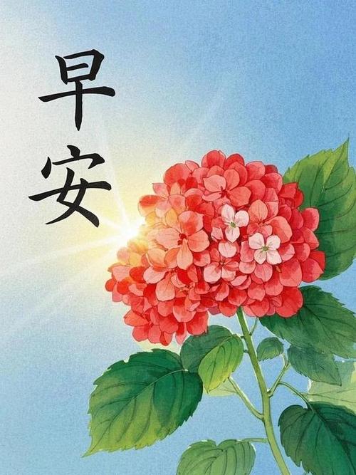 收到早安最好的回复