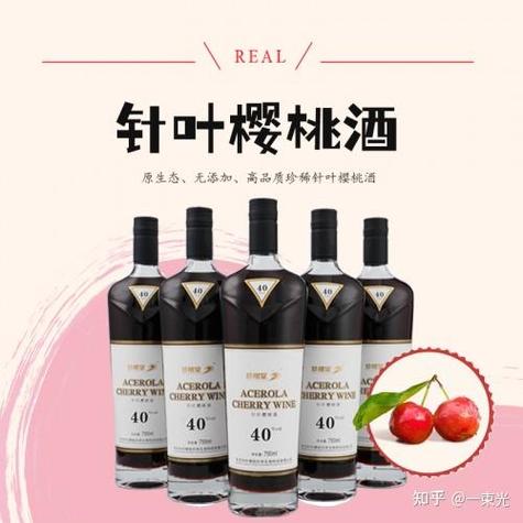 樱桃小酒的所有小说
