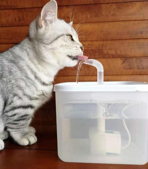 猫喝凉水还是温水