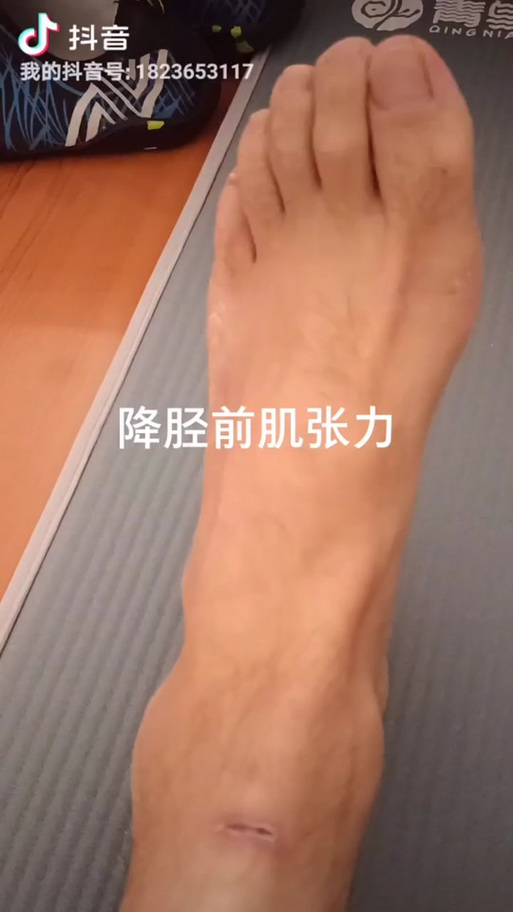 大脚导入wa截图