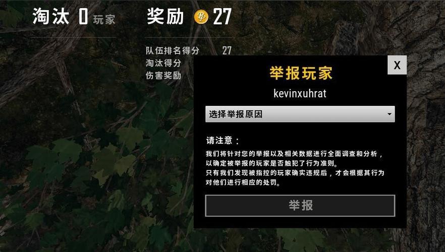 绝地求生如何举报敌人图标