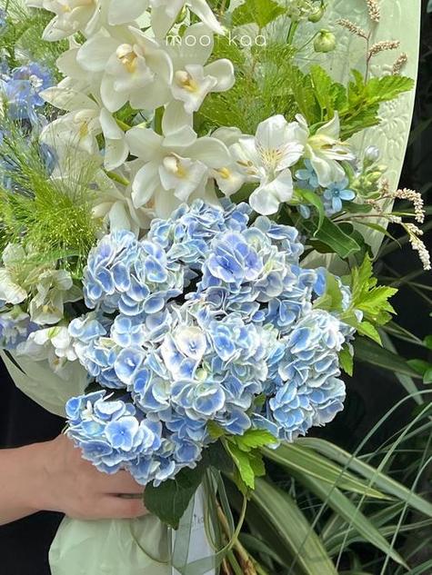 绣球需要醒花吗