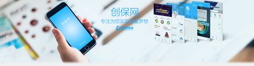 创保