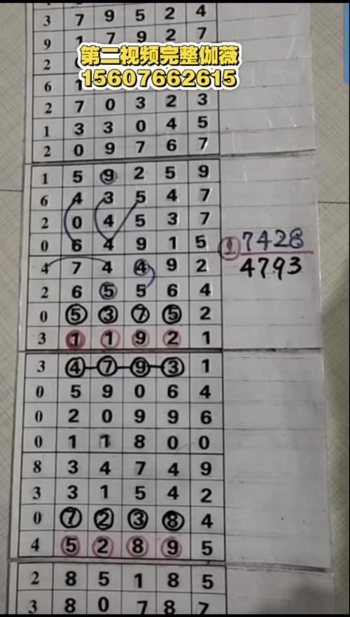 排列五的基本走势图带连线图感觉图标