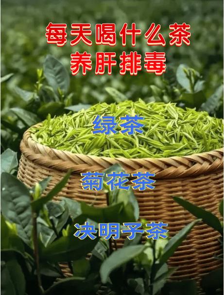 茶水对肝脏有影响吗
