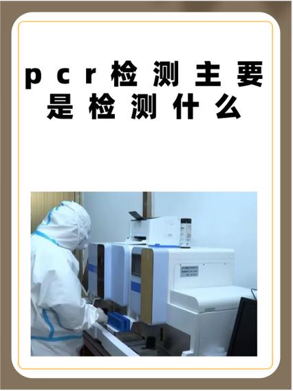PCR是什么检查缩略图