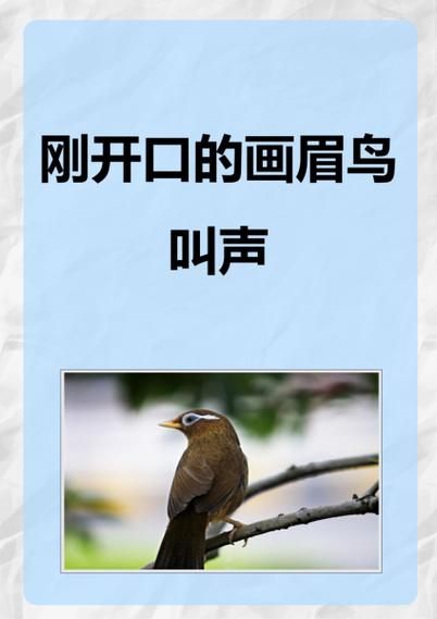 画眉鸟幼崽叫图标