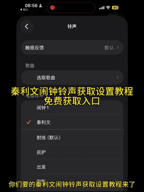 iqoo充电铃声怎么设置