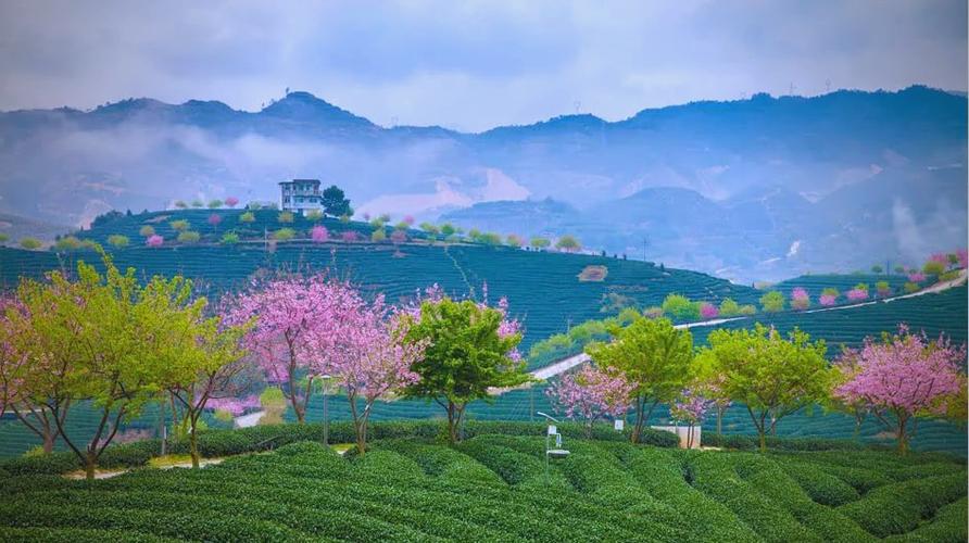 福建永福