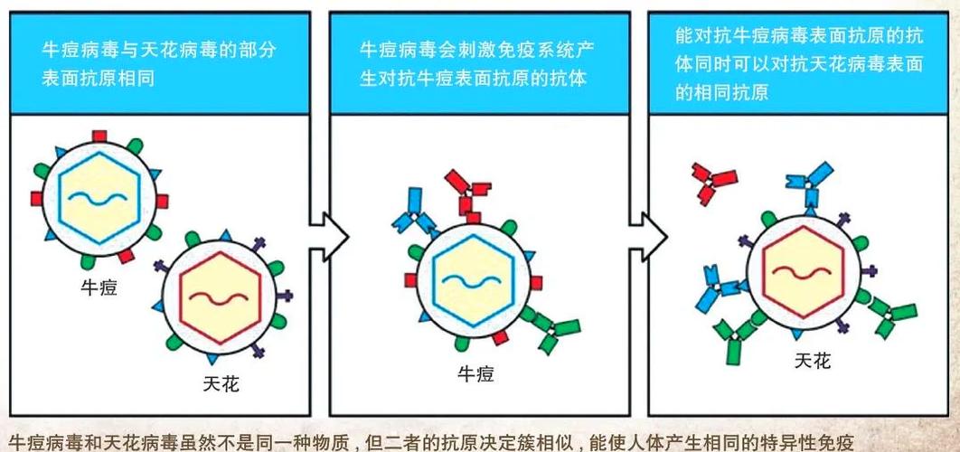 牛痘病毒