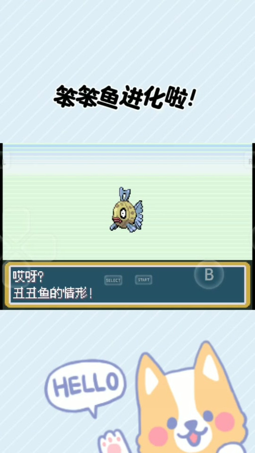 宝可梦进化按了b键怎么办