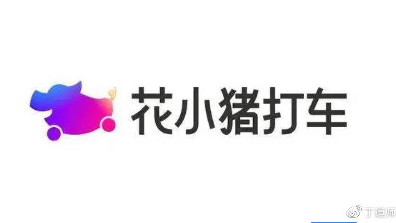 花小猪哪里的公司